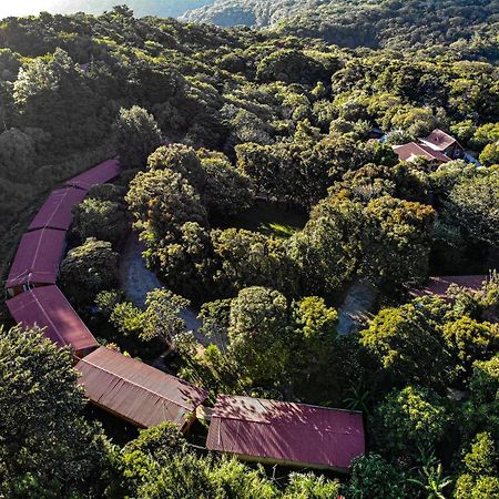 Willa El Bosque Lodging Monteverde Zewnętrze zdjęcie
